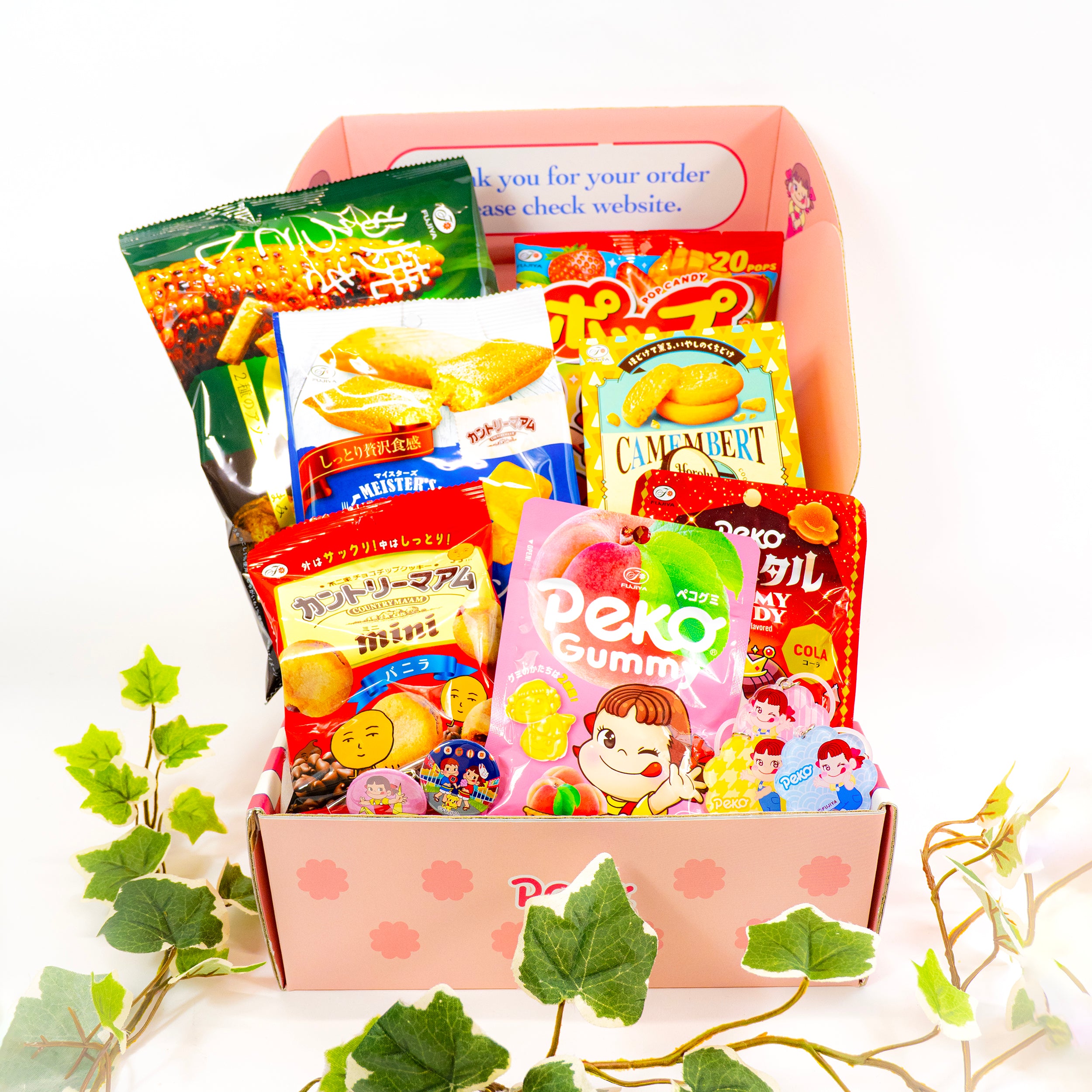 Peko’s Dream Box – Fujiya Monthly Snack Box Subscription